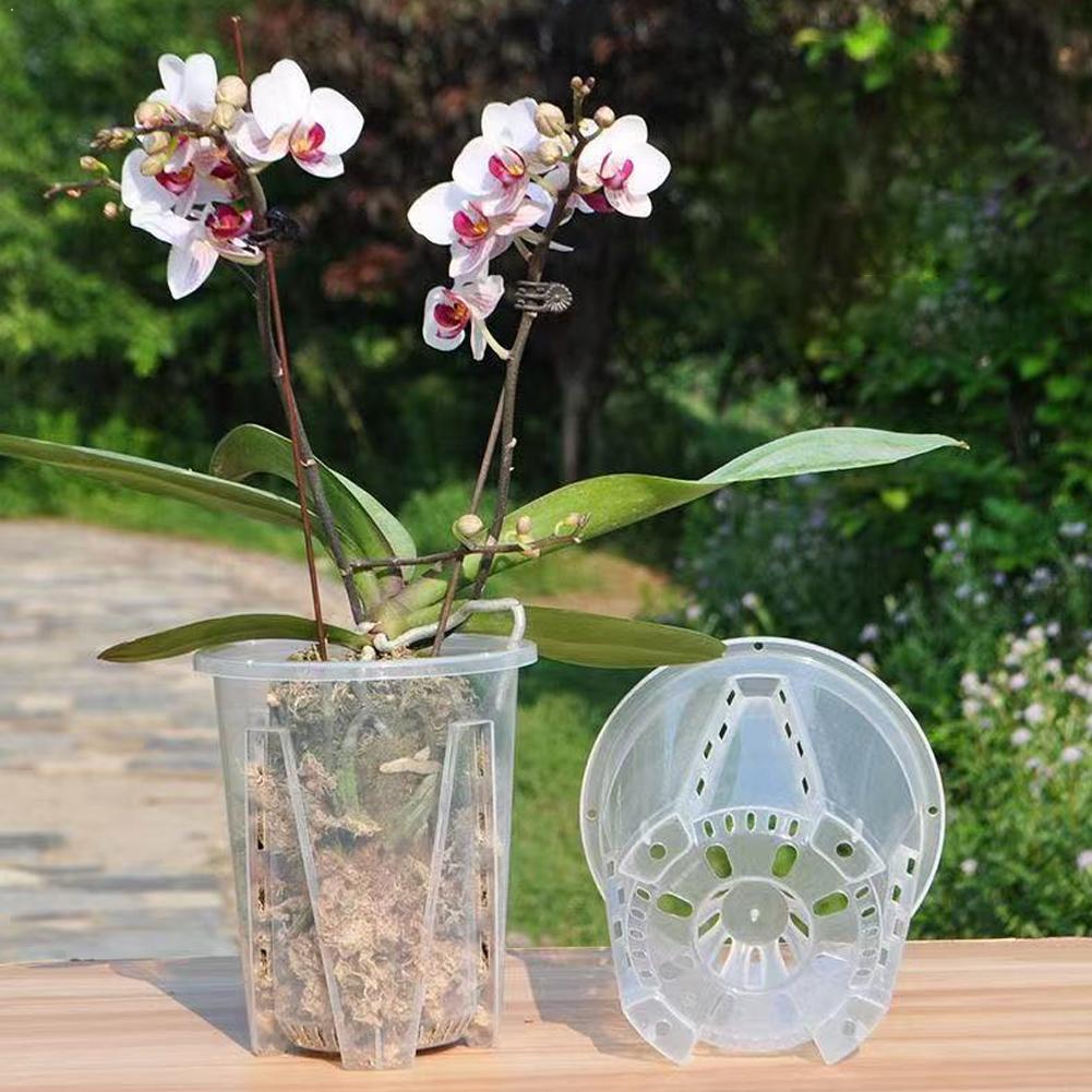 Aloe Vera Pot - Plastic wortelcontrole transparante bloempot ademende plantenpot