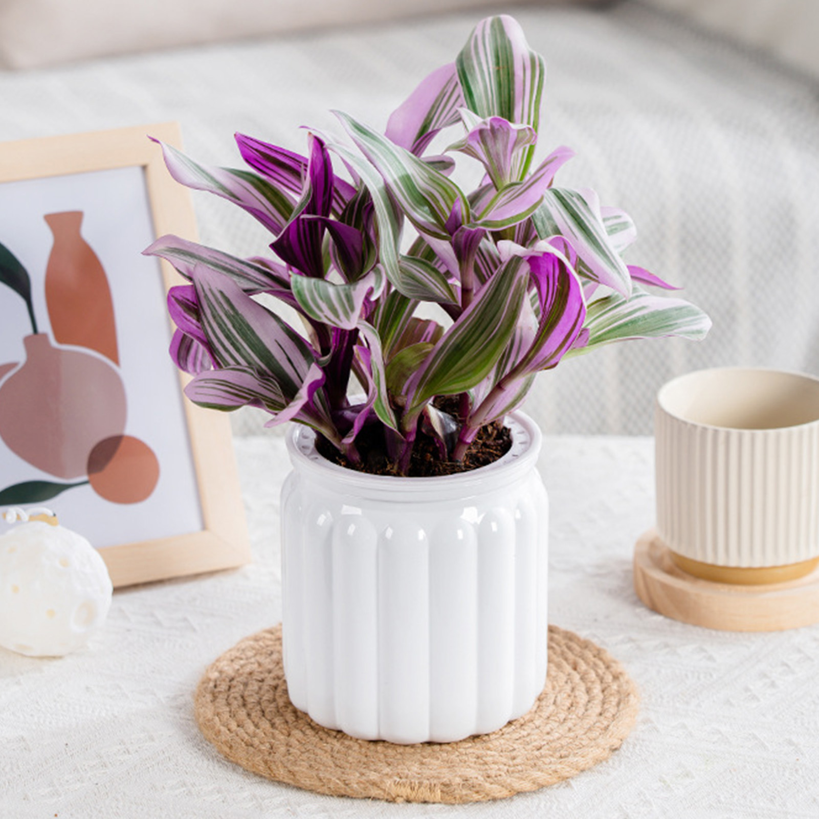 Aloe Vera Pot - Luie Hydroponische Bloempot Automatische Waterabsorberende Bloempot