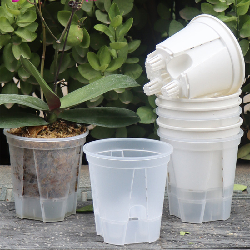 Aloe Vera Pot - 5 stks Transparante Orchidee Pot met