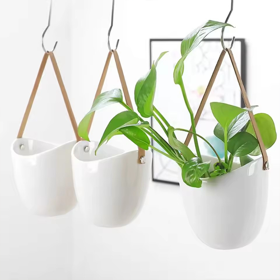 Witte hangende plantenpot met  - Aloe Vera Pot recensie en prijs