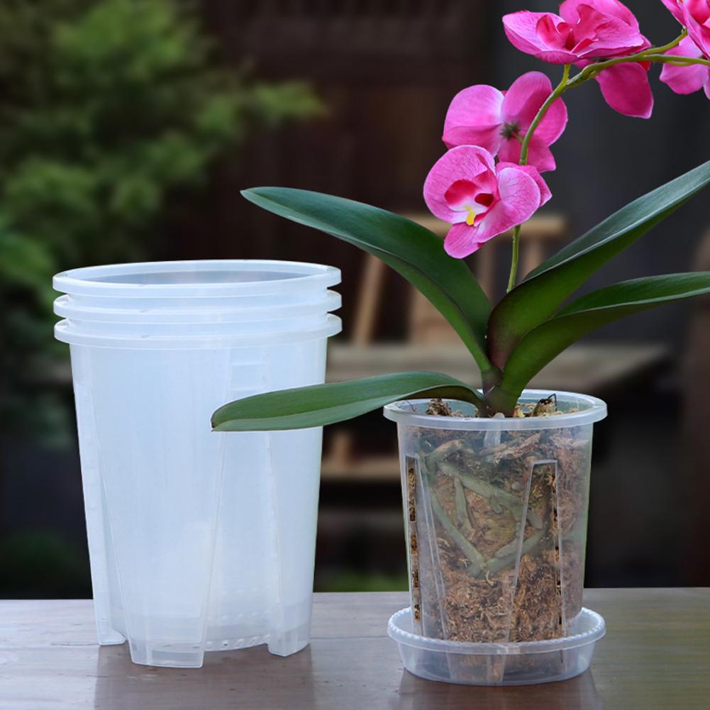 Plastic wortelcontrole transpa - Aloe Vera Pot recensie en prijs