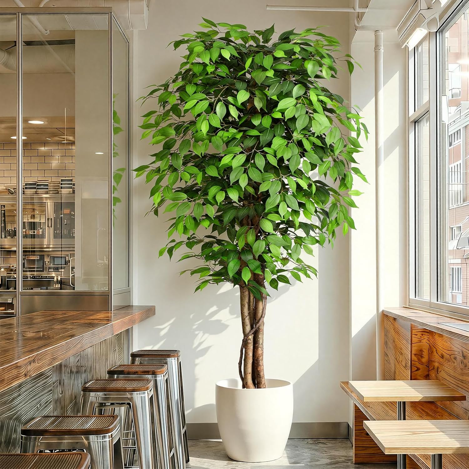 Levensechte kunstmatige vijgen - Monstera Adansonii recensie en prijs