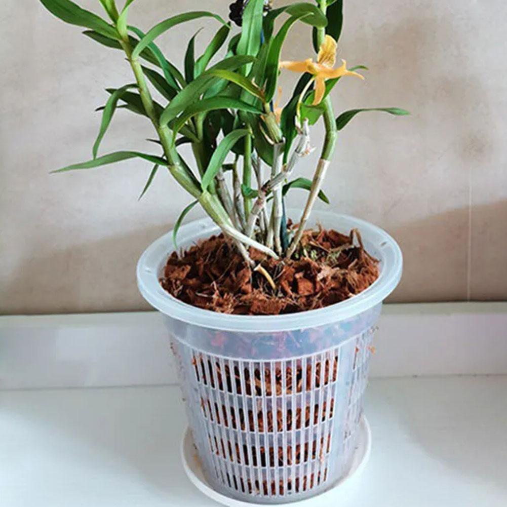 Mesh Pot Wortel Controle Trans - Aloe Vera Pot recensie en prijs
