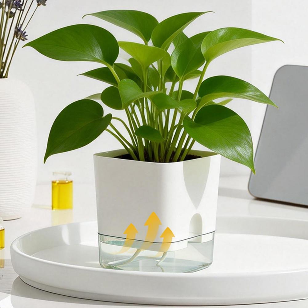 Automatische watergevende bloe - Aloe Vera Pot recensie en prijs