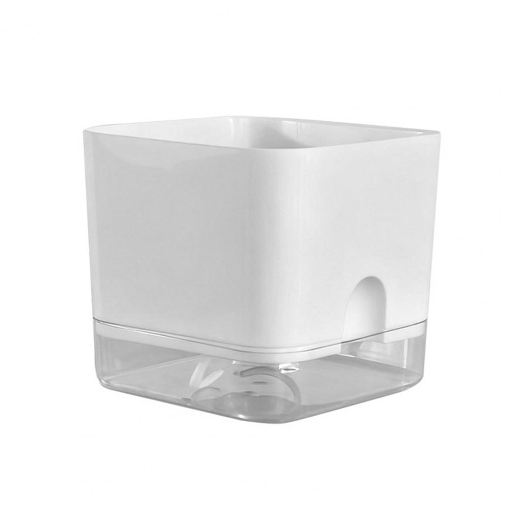 Automatische watergevende bloe - Aloe Vera Pot recensie en prijs