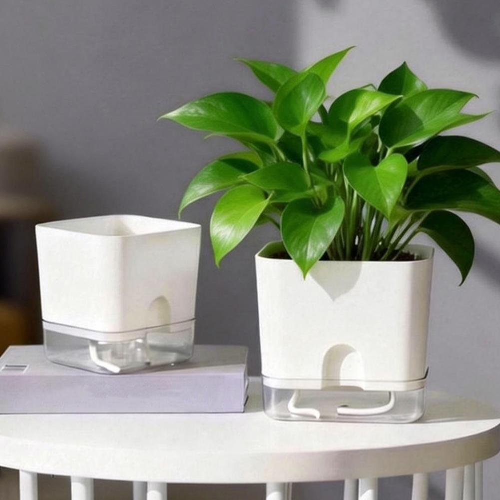 Automatische watergevende bloe - Aloe Vera Pot recensie en prijs