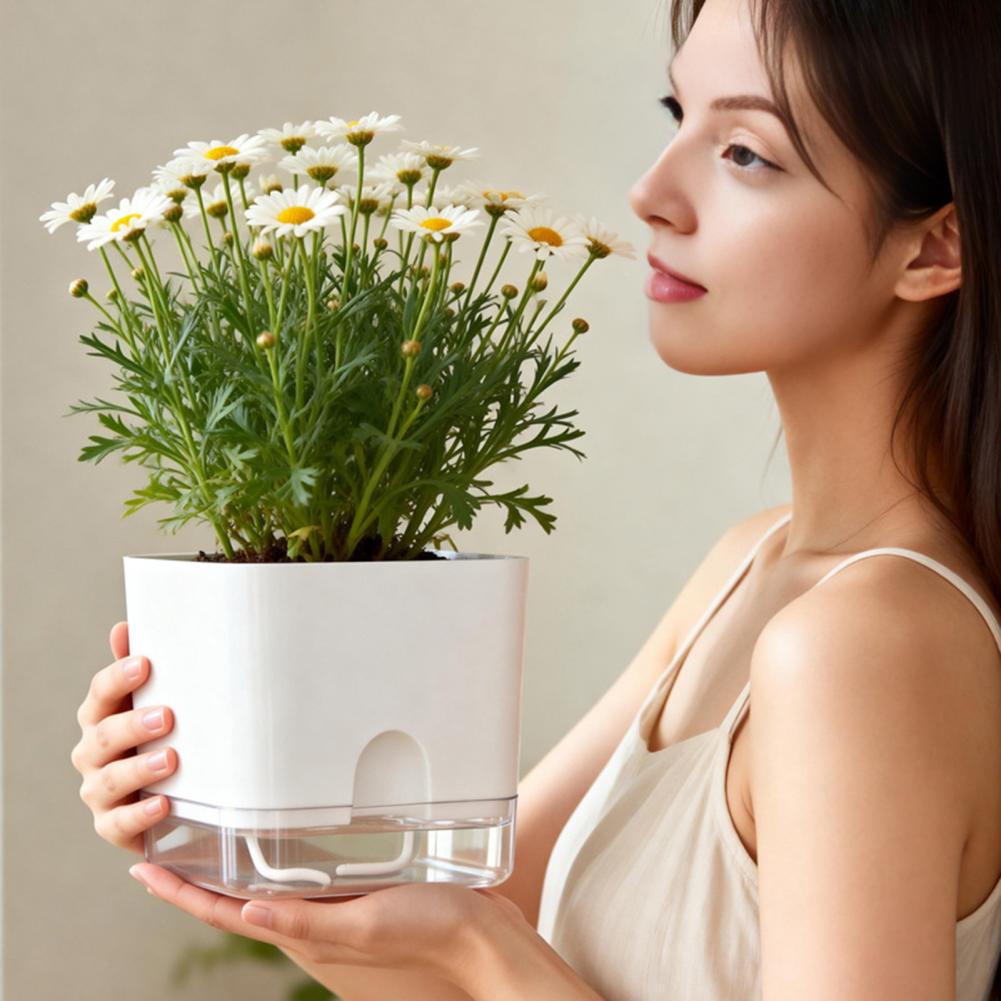 Automatische watergevende bloe - Aloe Vera Pot recensie en prijs