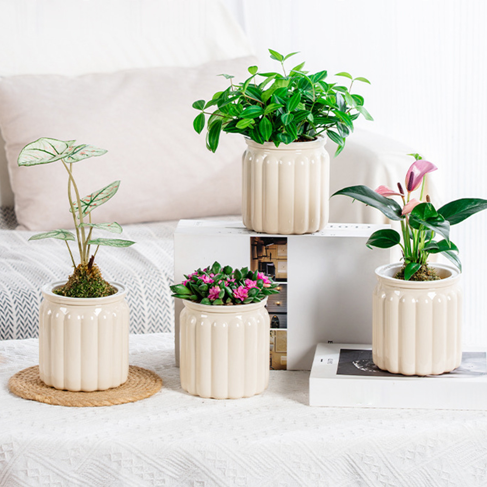 Luie Hydroponische Bloempot Au - Aloe Vera Pot recensie en prijs