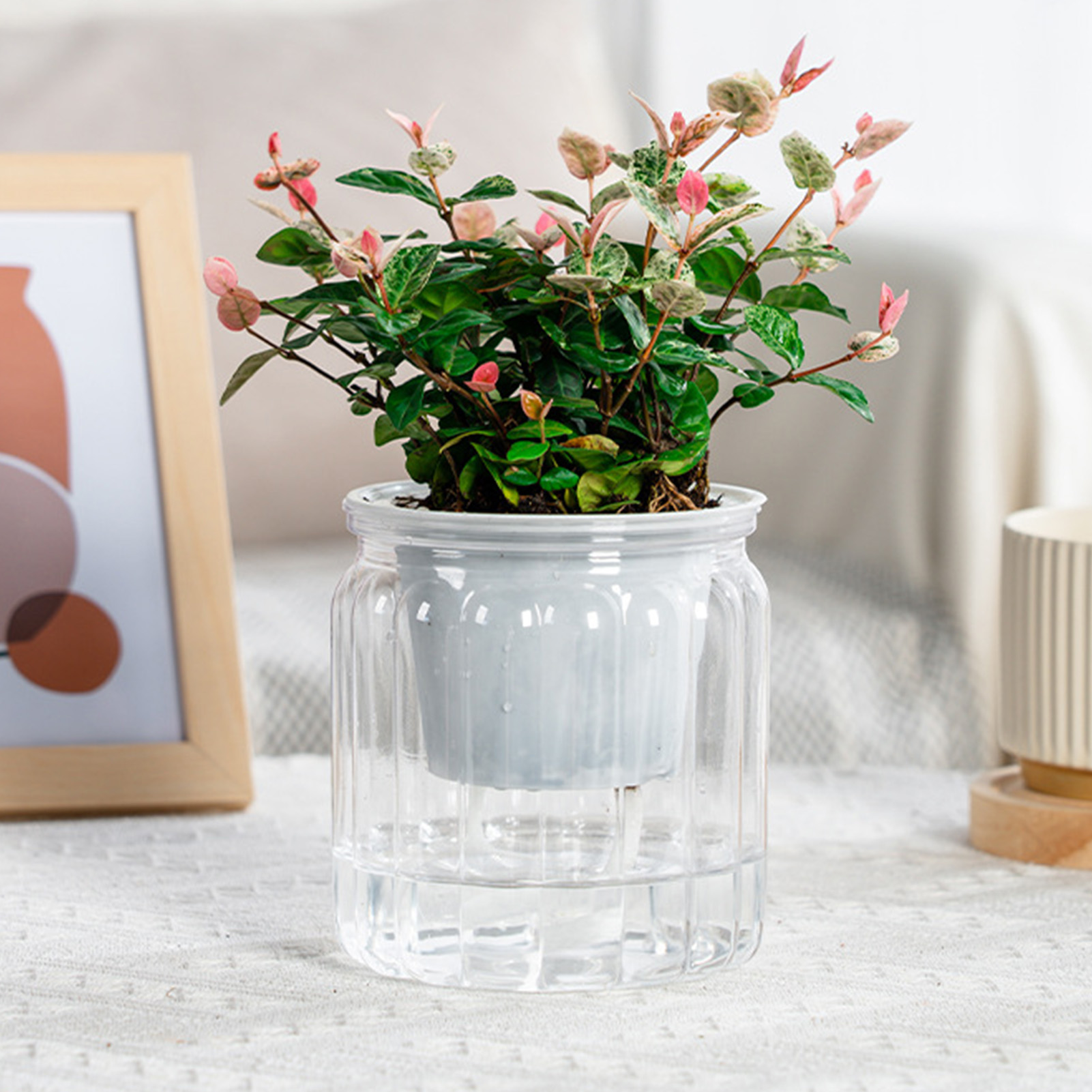 Luie Hydroponische Bloempot Au - Aloe Vera Pot recensie en prijs