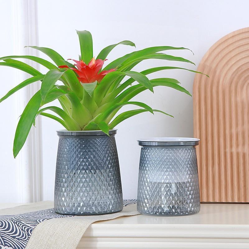 2024 Transparante Zelf Water g - Aloe Vera Pot recensie en prijs