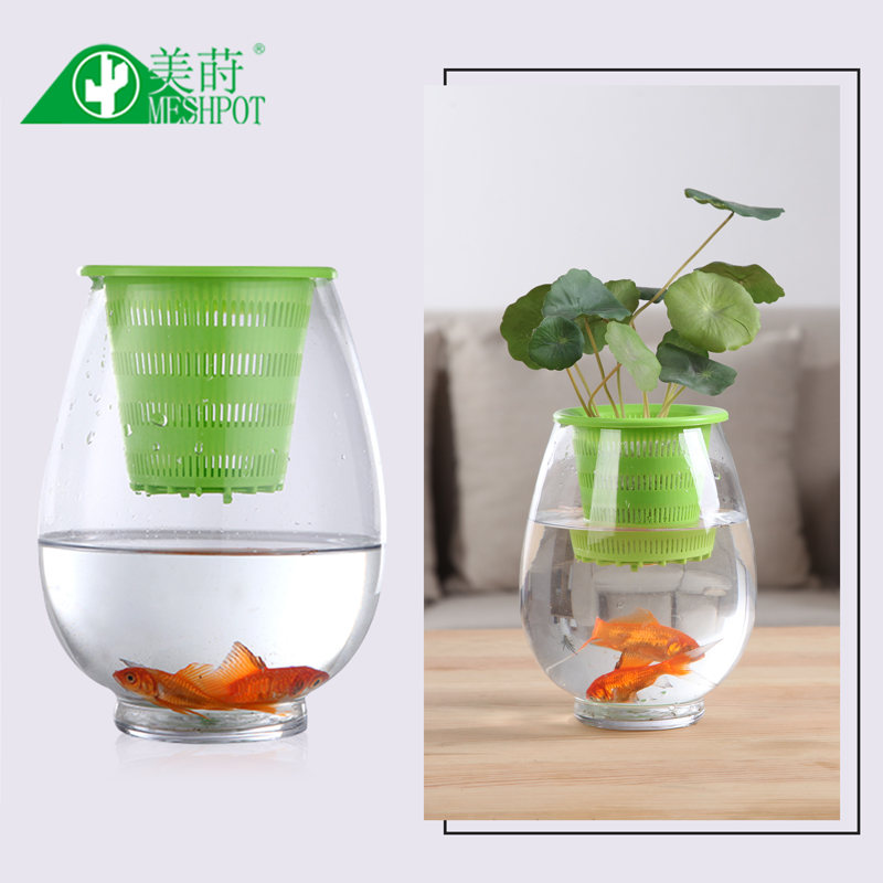 Meshpot 3Pcs Kleurrijke Plasti - Aloe Vera Pot recensie en prijs