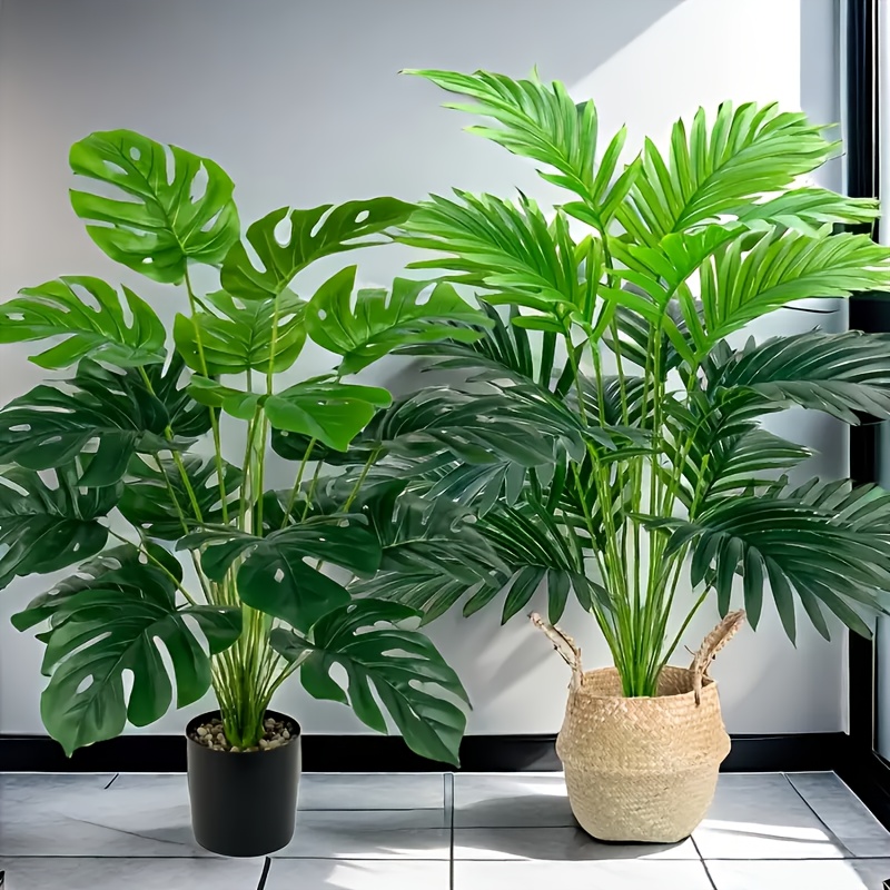 2 stuks groene 24 bladeren kun - Monstera Adansonii recensie en prijs