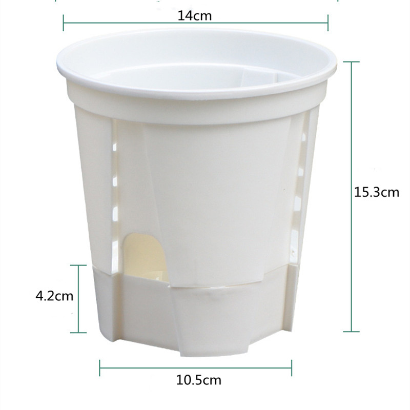 5 stks Transparante Orchidee P - Aloe Vera Pot recensie en prijs